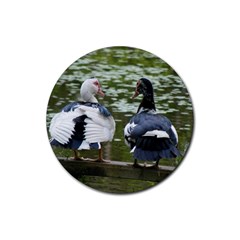 Muscovy Ducks At The Pond Rubber Coaster (round)  by IIPhotographyAndDesigns