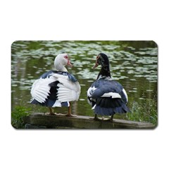 Muscovy Ducks At The Pond Magnet (rectangular) by IIPhotographyAndDesigns