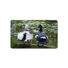 Muscovy Ducks At The Pond Magnet (name Card) by IIPhotographyAndDesigns