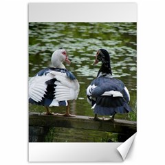 Muscovy Ducks At The Pond Canvas 12  X 18   by IIPhotographyAndDesigns