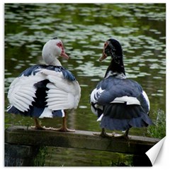 Muscovy Ducks At The Pond Canvas 16  X 16   by IIPhotographyAndDesigns