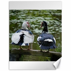 Muscovy Ducks At The Pond Canvas 18  X 24   by IIPhotographyAndDesigns