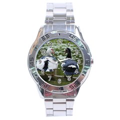 Muscovy Ducks At The Pond Stainless Steel Analogue Watch by IIPhotographyAndDesigns