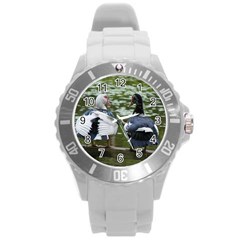 Muscovy Ducks At The Pond Round Plastic Sport Watch (l) by IIPhotographyAndDesigns