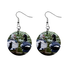 Muscovy Ducks At The Pond Mini Button Earrings by IIPhotographyAndDesigns
