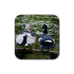 Muscovy Ducks At The Pond Rubber Coaster (square)  by IIPhotographyAndDesigns