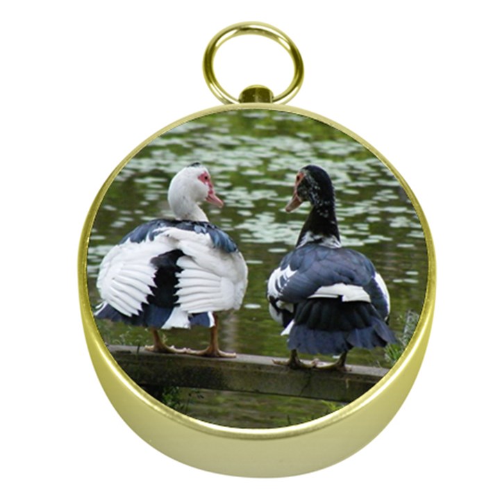 Muscovy Ducks at the Pond Gold Compasses