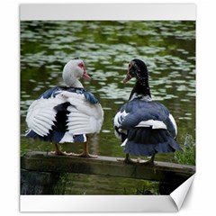 Muscovy Ducks At The Pond Canvas 20  X 24   by IIPhotographyAndDesigns