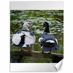 Muscovy Ducks At The Pond Canvas 36  X 48   by IIPhotographyAndDesigns