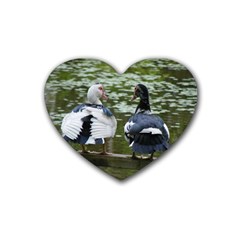 Muscovy Ducks At The Pond Rubber Coaster (heart)  by IIPhotographyAndDesigns