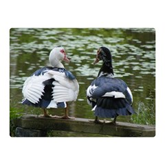 Muscovy Ducks At The Pond Double Sided Flano Blanket (mini)  by IIPhotographyAndDesigns