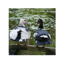 Muscovy Ducks At The Pond Small Satin Scarf (square) by IIPhotographyAndDesigns