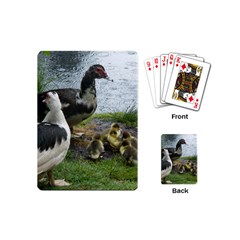 Muscovy Family Playing Cards (mini)  by IIPhotographyAndDesigns
