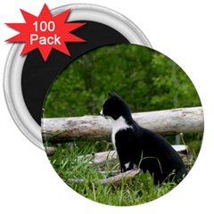 Farm Cat 3  Magnets (100 Pack) by IIPhotographyAndDesigns