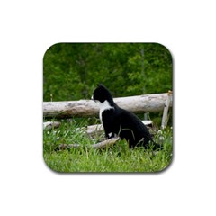 Farm Cat Rubber Coaster (square)  by IIPhotographyAndDesigns