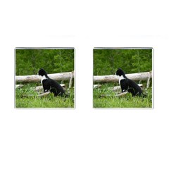 Farm Cat Cufflinks (square) by IIPhotographyAndDesigns