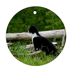 Farm Cat Round Ornament (two Sides) by IIPhotographyAndDesigns