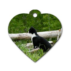 Farm Cat Dog Tag Heart (two Sides)