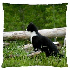 Farm Cat Large Cushion Case (one Side) by IIPhotographyAndDesigns