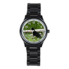 Farm Cat Stainless Steel Round Watch by IIPhotographyAndDesigns