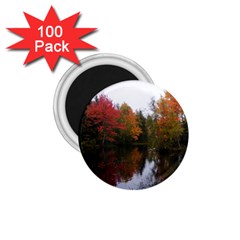 Autumn Pond 1 75  Magnets (100 Pack) 