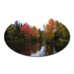 Autumn Pond Oval Magnet by IIPhotographyAndDesigns