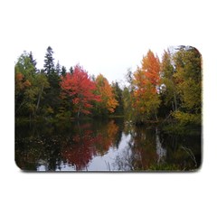 Autumn Pond Plate Mats