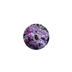 Lilac Bumble Bee 1  Mini Buttons by IIPhotographyAndDesigns