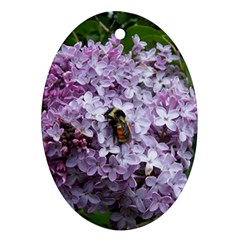 Lilac Bumble Bee Ornament (oval)