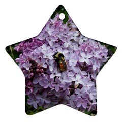 Lilac Bumble Bee Ornament (star)