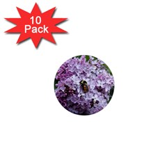 Lilac Bumble Bee 1  Mini Magnet (10 Pack) 