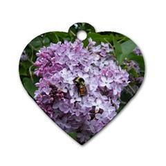 Lilac Bumble Bee Dog Tag Heart (two Sides) by IIPhotographyAndDesigns