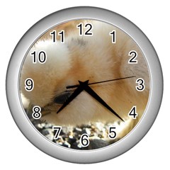 Silkie Chick  Wall Clock (silver) by IIPhotographyAndDesigns