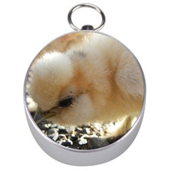 Silkie Chick  Silver Compasses by IIPhotographyAndDesigns