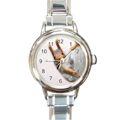 Curious Squirrel Round Italian Charm Watch by FunnyCow