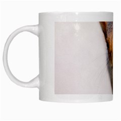 Curious Squirrel White Mugs by FunnyCow