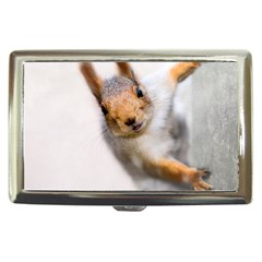 Curious Squirrel Cigarette Money Cases by FunnyCow