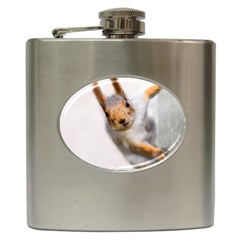 Curious Squirrel Hip Flask (6 Oz) by FunnyCow