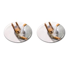 Curious Squirrel Cufflinks (oval)