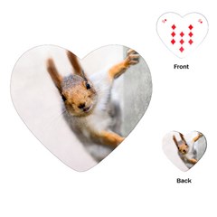 Curious Squirrel Playing Cards (heart)  by FunnyCow