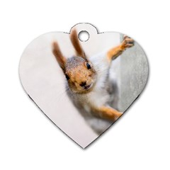 Curious Squirrel Dog Tag Heart (two Sides) by FunnyCow