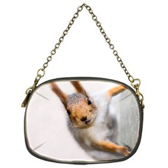 Curious Squirrel Chain Purses (one Side)  by FunnyCow