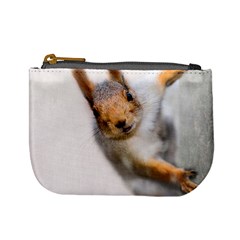 Curious Squirrel Mini Coin Purses by FunnyCow