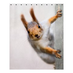 Curious Squirrel Shower Curtain 60  X 72  (medium)  by FunnyCow