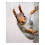 Curious Squirrel Shower Curtain 60  x 72  (Medium)  60 x72  Curtain