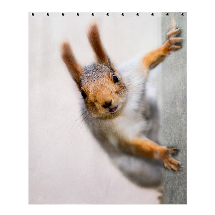 Curious Squirrel Shower Curtain 60  x 72  (Medium) 