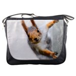Curious Squirrel Messenger Bags Front