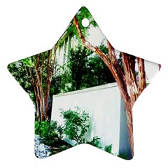 Hot Day In Dallas 40 Star Ornament (two Sides) by bestdesignintheworld