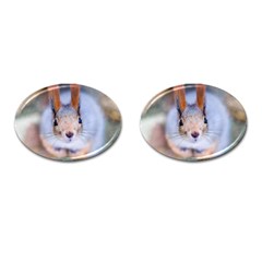 Squirrel Looks At You Cufflinks (oval) by FunnyCow