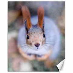 Squirrel Looks At You Canvas 16  X 20   by FunnyCow